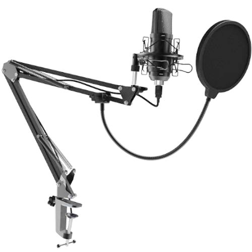 Микрофон Ritmix RDM-169 USB, штатив, струбцина, черный изображение